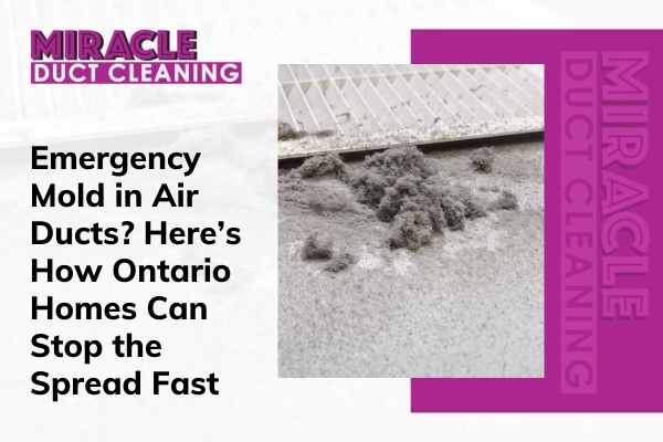 Technician providing the best air duct cleaning services near me